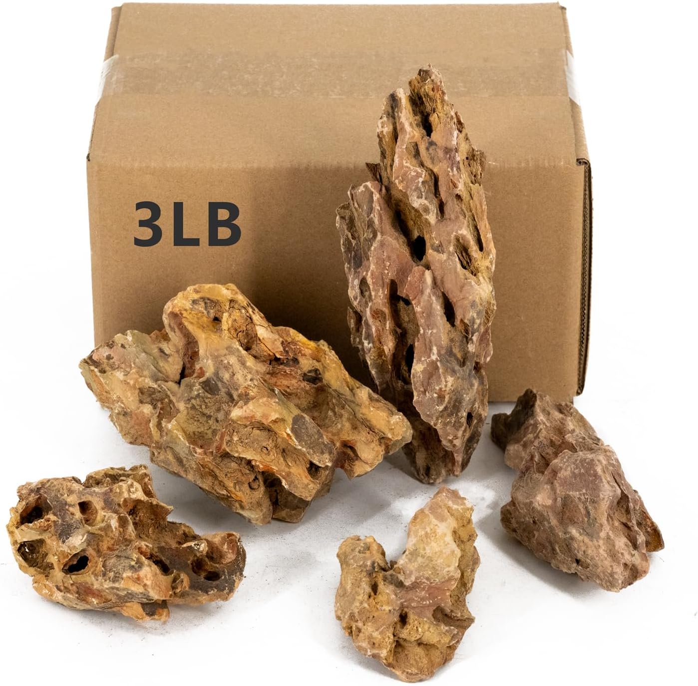 Aquarium Accessories