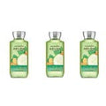 x3 Bath and Body Works Cucumber Melon Shower Gel Original Set