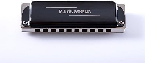 KONGSHENG KS-10BH 10 Holes Blues Harmonica,White Body (D)