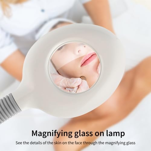 OmySalon 2 in 1 Facial Steamer with 5X Magnifying Lamp, Esthetician Steamer Hot Ozone Mist Face Spa Mist Steam for Home Beauty Salon, Personal Skin Care Deep Cleaning, White