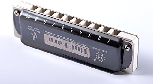 KONGSHENG KS-10BH 10 Holes Blues Harmonica,White Body (F)