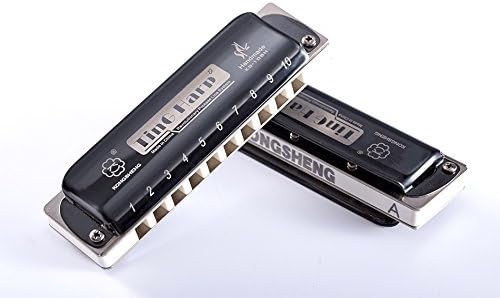 KONGSHENG KS-10BH 10 Holes Blues Harmonica,White Body (E)