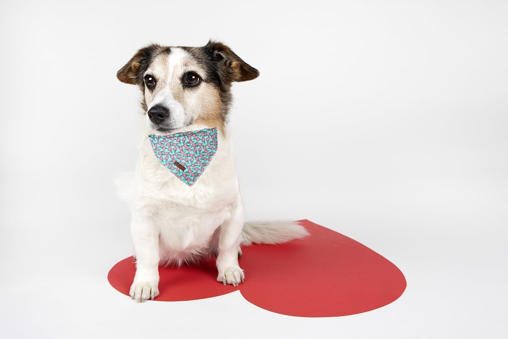 Lionet Paws Valentine Dog Bandana for Small Medium Dogs,Blue Green Hearts Kerchief Washable Dog Triangle Bibs Scarf for Girl or Boy Gift