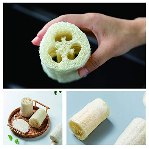 5" Natural Loofah Exfoliating Body Sponge Scrubber, Plant-Based Organic Loofa Luffa for Men & Women Skin Care Bath Shower Cleaning Back & Face, Natural Sponges for Dishes, Pack of 4