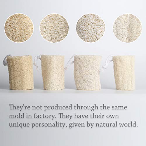 5" Natural Loofah Exfoliating Body Sponge Scrubber, Plant-Based Organic Loofa Luffa for Men & Women Skin Care Bath Shower Cleaning Back & Face, Natural Sponges for Dishes, Pack of 4