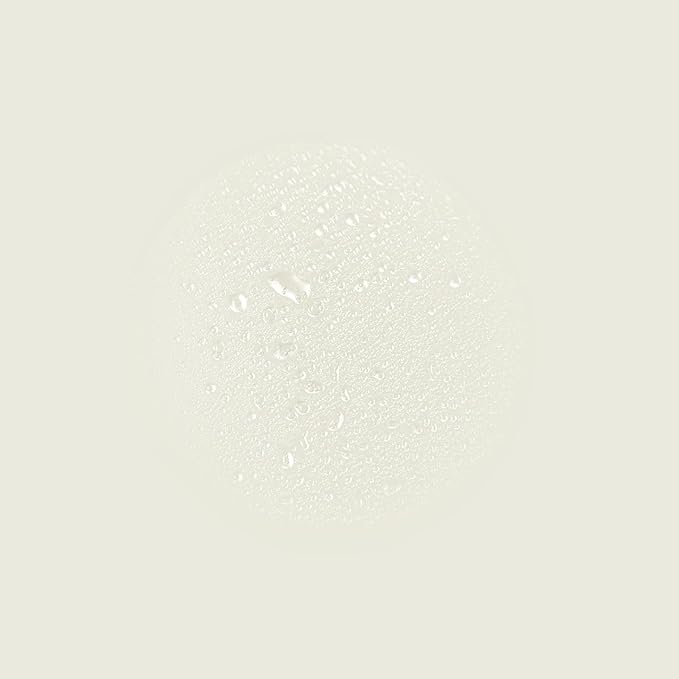Aesop Immediate Moisture Facial Hydrosol | Hydrating Face Mist with Rose Petal & Bergamot | Hydrator for All Skin Types | Vegan, Cruelty-Free, Paraben-Free | 50 mL/1.7 oz