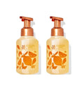 Bath & Body Works Bath and Body Works Sun-Washed Citrus Gentle Foaming Hand Soap 8.75 Ounce 2-Pack (Sun-Washed Citrus) 17.5 fluid_ounces, 17.5 Fl Oz, 17.5 ounces