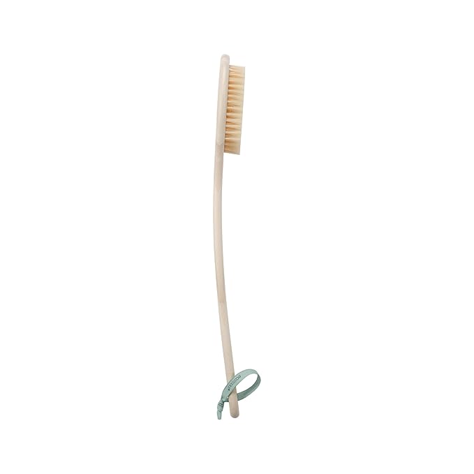 EcoTools Bristle Bath Brush, Shower Body Brush with Gentle, Stiff Bristles, Long Bamboo Handle, Gently Exfoliating for Back & Body, Stimulates Blood Circulation, Eco-Friendly, 1 Count (Pack of 2)