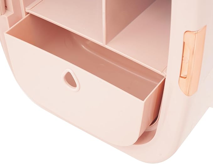 Cosmetic Fridge with LED Mirror & Adjustable Shelves, 12V/110V Mini Skincare Refrigerator for Bedroom, Vanity, Office, 4 Gal, Gift for Women (Pink)