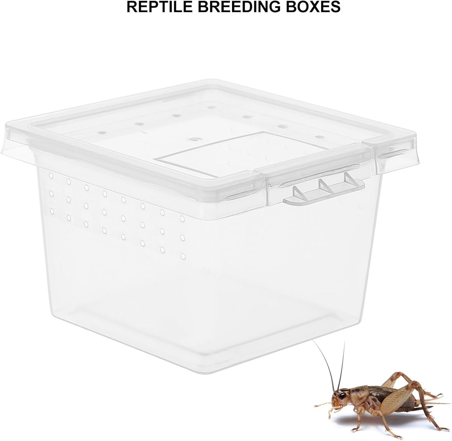 balacoo Reptile Feeding Box: 100Pcs Reptile Breeding Box Plastic Transparent Feeding Enclosure Case Hatching Container with Lid for Spider Scorpion Gecko Snake Tortoise