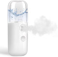 GIVERARE Nano Facial Steamer, Handy Mini Mister, USB Rechargeable Mist Sprayer, 30ml Visual Water Tank Moisturizing&Hydrating for Face, Daily Makeup, Skin Care, Eyelash Extensions-White
