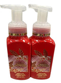 Bath & Body Works Gentle Foaming Hand Soap - Frosted Cranberry (2 Pack)