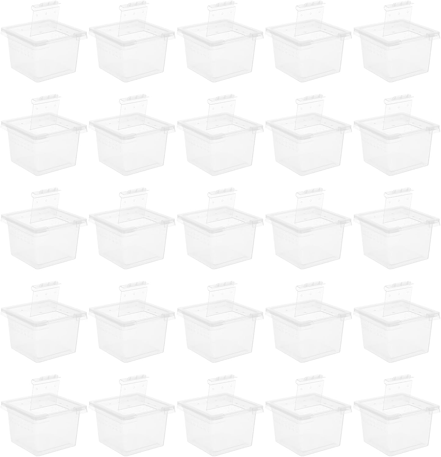 balacoo Reptile Feeding Box: 100Pcs Reptile Breeding Box Plastic Transparent Feeding Enclosure Case Hatching Container with Lid for Spider Scorpion Gecko Snake Tortoise