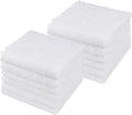 Orighty Ultra Soft Washcloths 12 Pack, Premium Microfiber Towel Sets 12 x 12 inches, Absorbent and Quick Drying Coral Velvet Washcloth, Multi-Purpose Wash Cloths for Bathroom, Hotel, and Gym (White)