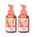Bath and Body Works Gentle Foaming Hand Soap, 2-Pack 8.75 Ounce (Pink Pineapple Sunrise)