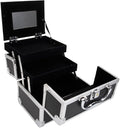 Makeup Train Case, Makeup Case Organizer with Mirror, Portable Cosmetic Box Storage with 2 Trays, Make Up Travel Case for Nail Kits Cosmetics Craft Traveling, Gifts for Women and Girls (Black)