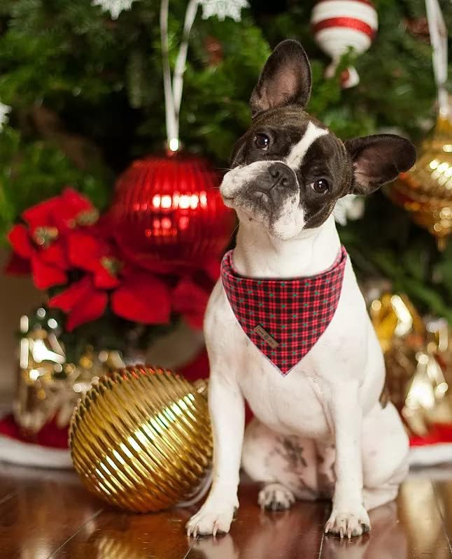 Lionet Paws Reversible Washable Cotton Dog Bandana - Red & Tree Patterns, Adjustable Square Kerchief for Small to Large Dogs