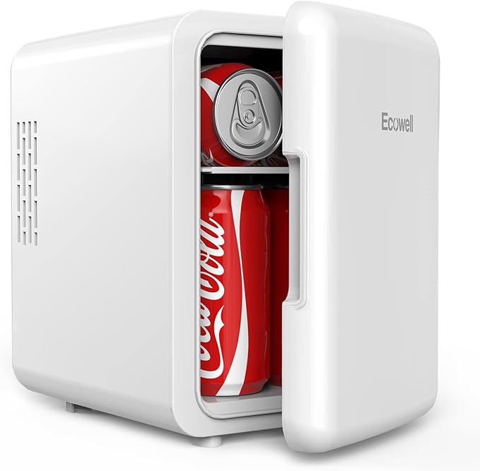 Ecowell WRE100 Mini Bedroom, 4L/6 Can Skincare Fridge, AC/DC Portable Compact Small Refrigerator for Office Dorm Car Desk for Skin Care Makeup Cosmetic, White