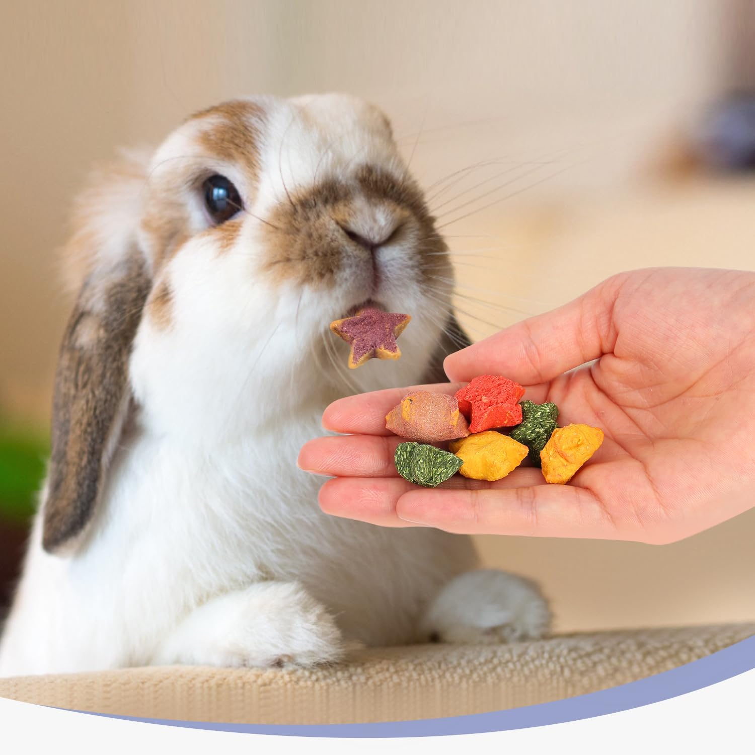 Rabbit Treats, Healthy Bunny Treats Natural Mini Star Shaped Snacks Treats for Pet Rabbits and Small Animals Molar Toys Guinea Pig Hamster Chinchilla Gerbil
