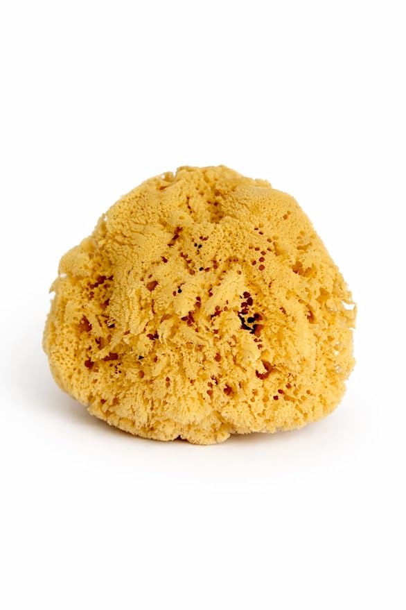 Real Sea Sponge for Men - Extra Large 6"-7", Totally Natural, Kind on Skin for an Invigorating Shower, Supplied in Breathable Mesh Bag. Great for The Gym, Grooming, Bath & Body Gift by Constantia Man