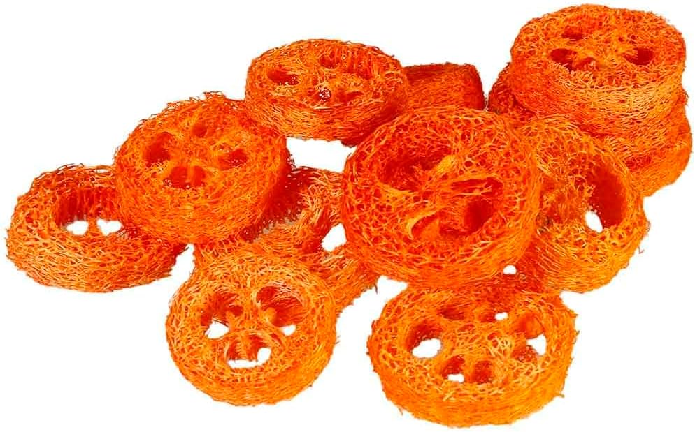 15 Pcs Fruit Flavored Loofah Slices Rabbit Chew Toys Guinea Pig Chew Toys Small Pet Chews Bunny Toys for Teeth Rabbit Toys