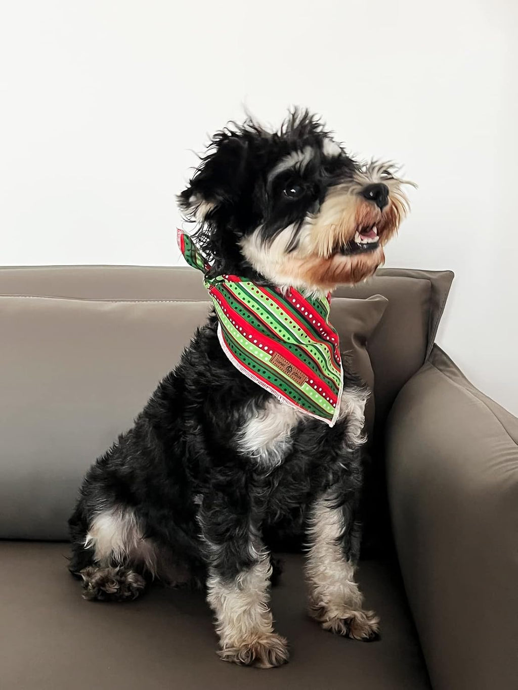 lionet paws Christmas Dog Bandana,Fabric Dogs Kerchief for Small Medium Large Dogs,Dog Cotton Triangle Bibs Scarf for Girl Boy