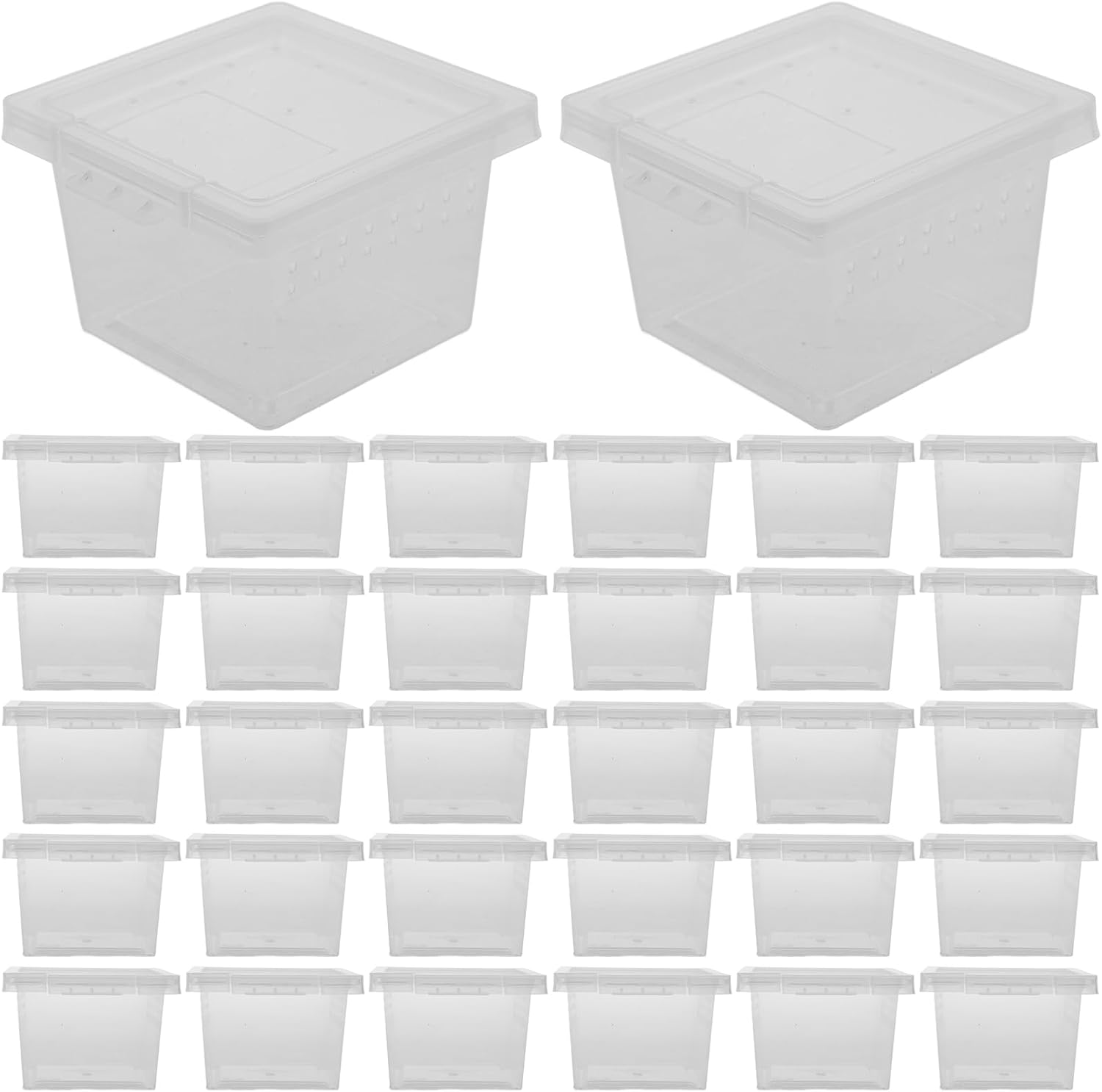 balacoo Reptile Feeding Box: 100Pcs Reptile Breeding Box Plastic Transparent Feeding Enclosure Case Hatching Container with Lid for Spider Scorpion Gecko Snake Tortoise