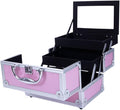Makeup Train Case, Makeup Case Organizer with Mirror, Portable Cosmetic Box Storage with 2 Trays, Make Up Travel Case for Nail Kits Cosmetics Craft Traveling, Gifts for Women and Girls (Pink)