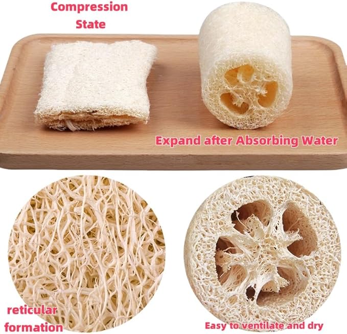 Loofah Body Scrubber Sponge 6-Pack - Natural Exfoliating Sponges for Bath & Shower, Biodegradable Luffa for Smooth & Glowing Skin, Spa Gift Set, Dye-Free, Vegan