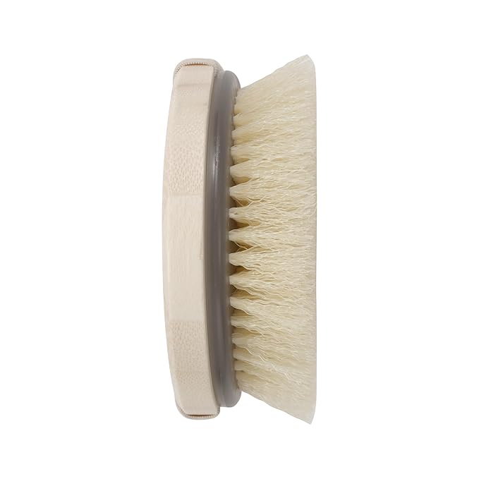 EcoTools Dry Body Brush,for Post Shower & Bath Skincare Routine,Removes Dirt and Promotes Blood Circulation,(Pack of 12)
