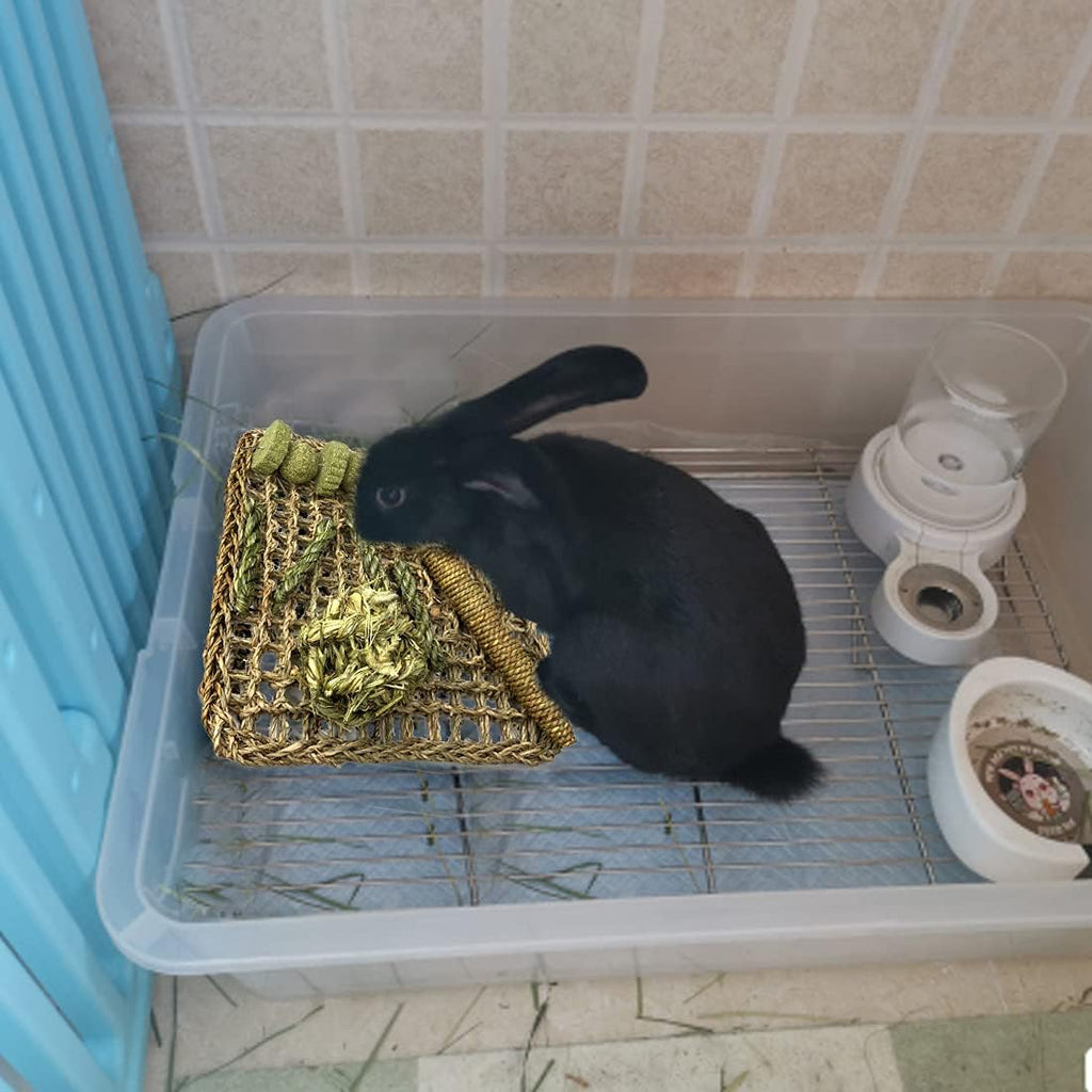 Hamiledyi Rabbit Seagrass Mat Bunny Chew Toys for Teeth Hanging Activity Mat Rabbit Enrichment Activity Mat Small Animal Toys for Hamster Guinea Pigs Gerbil Birds