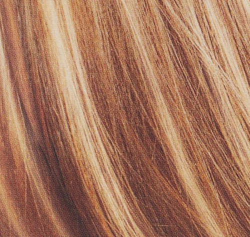 L'Oreal Paris Professional Techniques Frost and Design, Caramel, 1-Count