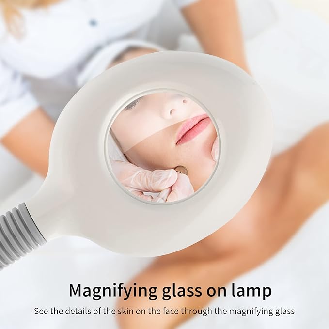 2 in 1 Facial Steamer with 3X Magnifying Lamp - Professional for Home & Beauty Salon