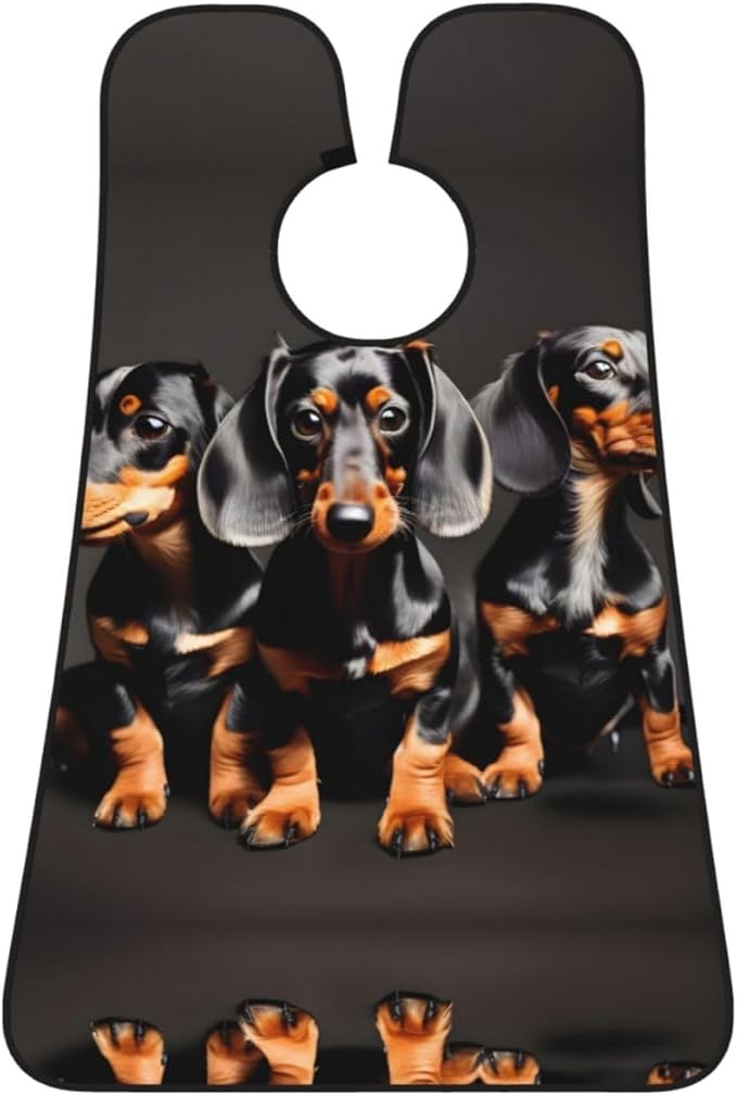 Three Dachshunds Print Beard Bib Shaving Apron, Beard Hair Trimming Cape Gift For Dad