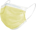 HALYARD Level 1 Disposable Procedure Mask, Earloops, Yellow, 47567