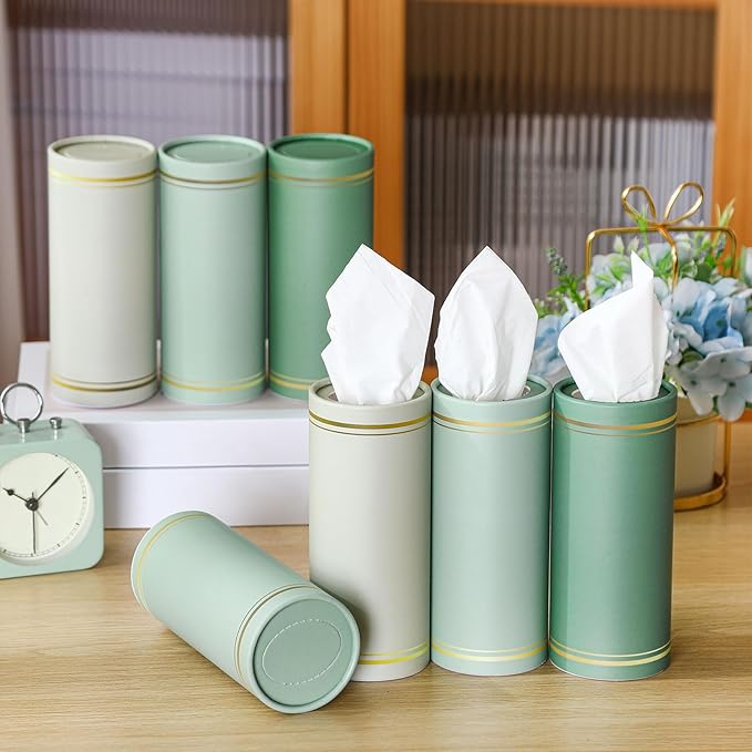 12 Pack Car Tissue Cylinder Holder Bulk with 3 Ply Facial Tissues, Round Napkin Holders for Cup Holder Cylinder Travel Paper Tubes Bulk Round Napkin Boxes Packs (Fresh Color)
