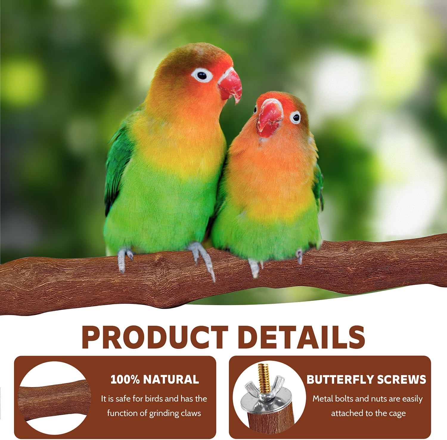 5PCS Bird Perch Stand Natural Wooden Parrot Stand Branch,3 Grape Wood Perch,2 Platform,Paw Grinding Fork Parakeet Chewing Stick Exercise Training Branches for Cockatiels,Small Birds