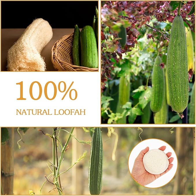 Amabro Loofah Sponge Face Pads Scrubber, 6 PCS Exfoliating Facial Loofah Luffa Cleansing Sponge Scrub Pad Makeup Remover Brush for Men and Women Manual Bath Shower Glove Pad Body Scrubber