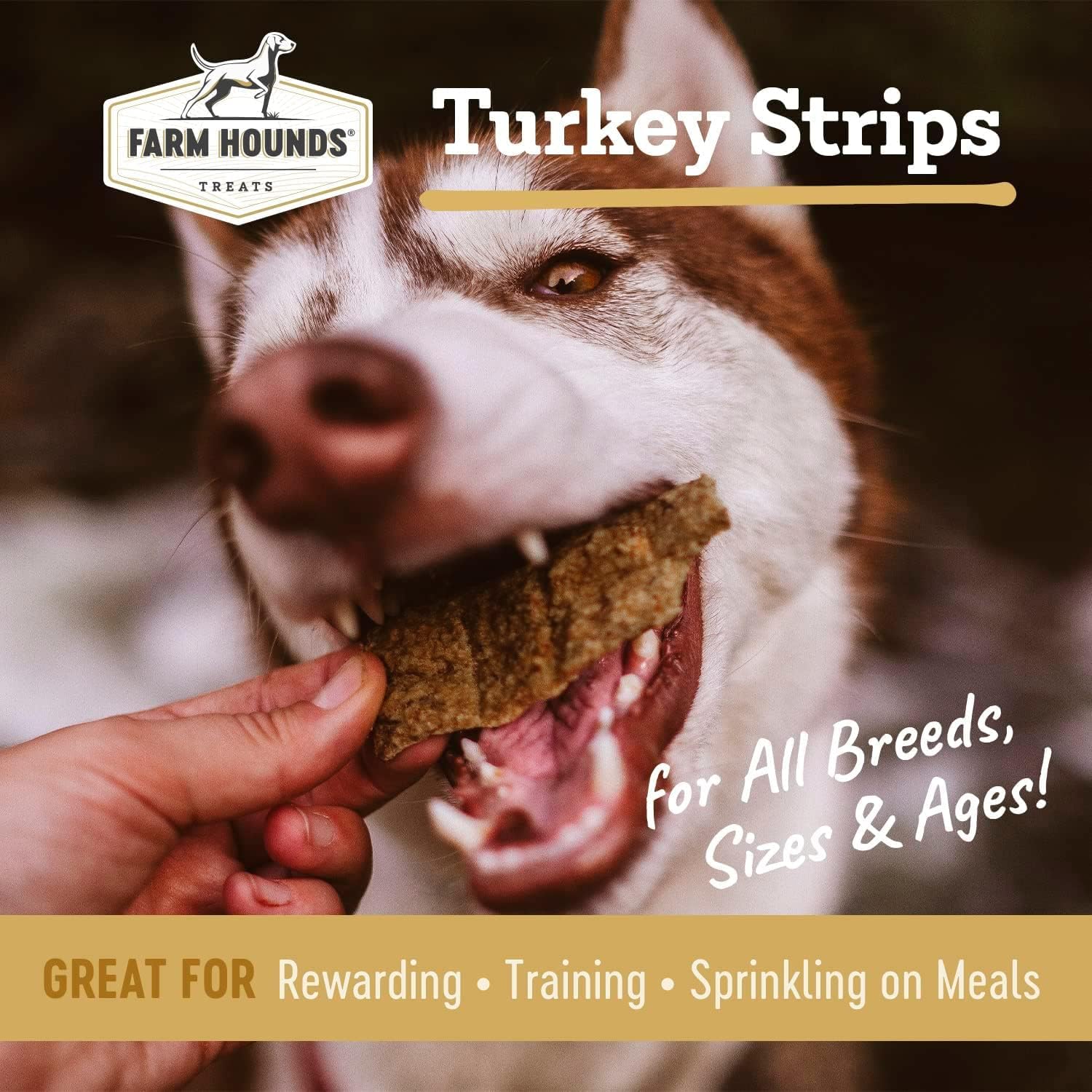 Farm Hounds - Turkey Strips - Premium Natural Jerky for Dogs - from 100% Humanely Raised Turkey - Break-to-Size - Great for Training & Treats - No Added Fillers - Made in USA - 4.5 oz - 2 Pack