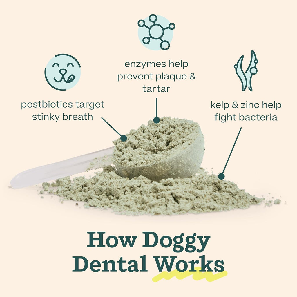 WOOF Dental Kit- Includes Pupsicle Dog Toy, Treat Tray, Shaker Bottle, Chicken Pupsicle Pops, and Dog Teeth Cleaning Powder - Supports Oral Health for Dogs - Small