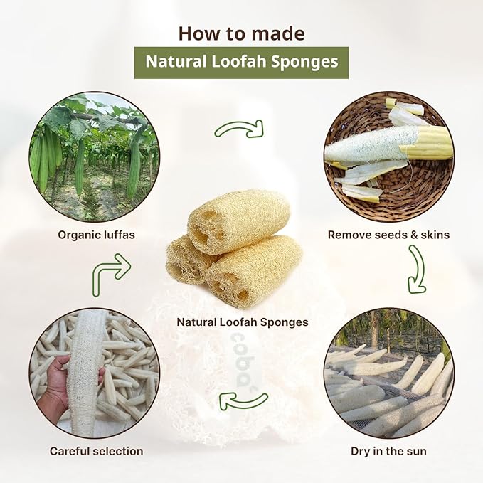Natural Loofah Sponge Set (4-Pack) | Shower Loofah Exfoliating Body Scrubber for Women & Men | Multi-Use Sponge for Shower, Spa, Kitchen, Pet | 100% Natural, Dye-Free, Eco-Friendly