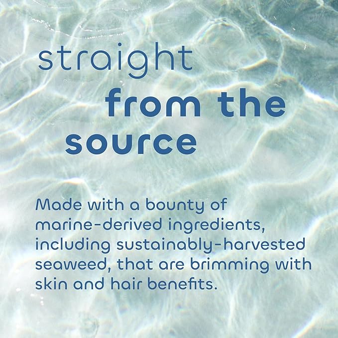 Seaweed Bath Co. Calm Body Scrub, Vetiver Geranium Scent, 6 Ounce, Sustainably Harvested Seaweed, Sea Kelp, Glycolic Acid