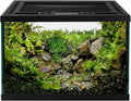Reptile Glass Terrarium Tank 12 * 12 * 8" Full View with Top Ventilation, Amphibians Box Habitat Enclosure Cage for Frog,Spiders,Dubia Cockroach,Praying Mantis,Cricket,Tarantula,Hermit Crab