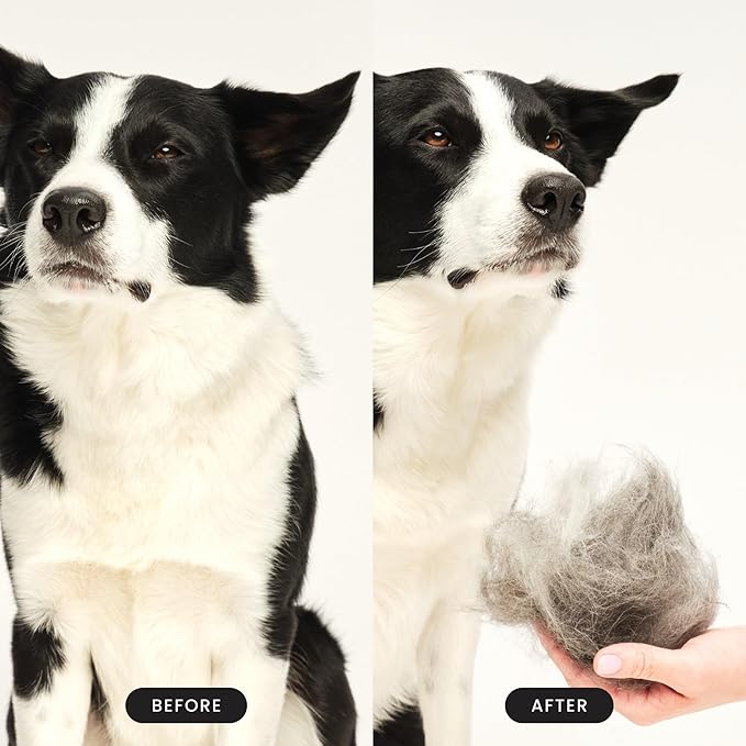 Pet Teezer De-Shedding Dog Brush by Tangle Teezer, Dog Grooming Tool for Long Haired Breeds and Wet or Dry Fur, Large, Blue & Pink