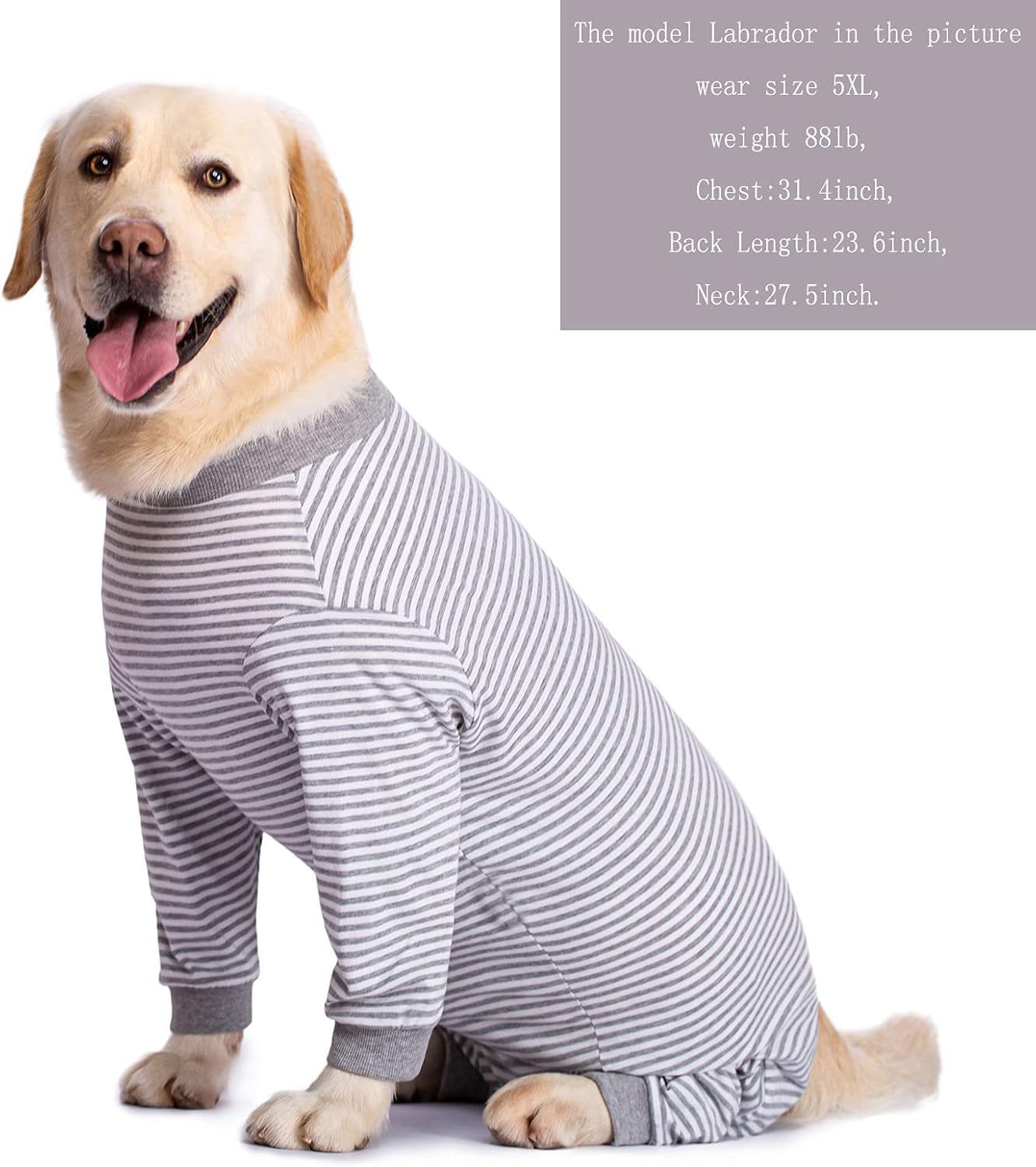 Yeapeeto Dog Onesie Surgery Recovery Suit for Large Medium Bodysuit Dogs Pajamas PJS Full Body for Shedding, Prevent Licking, Wound Protection, Cone Alternative (X-Large, Grey)