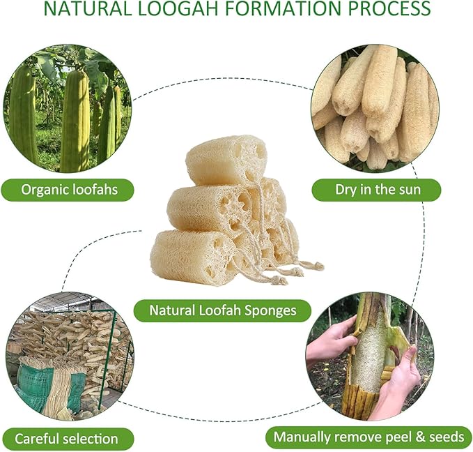 Natural Loofah Sponge, Organic Bath Loofah Pack, Lufas Exfoliating Body Scrubber, Loofas Sponges Shower Loofah for Women and Men, Skin SPA Ecotools- 6 Pack