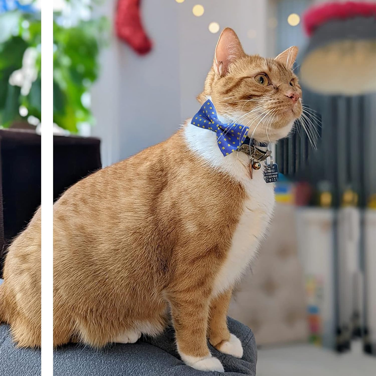 Dog Bow Tie / 50 Pcs Adjustable Elastic Rubber Band Double Layer Bow Ties for Small Medium Large Dogs & Big Cats Pet Collar Charms Accessories Bowties for Birthday Wedding Parties(50 Pcs)