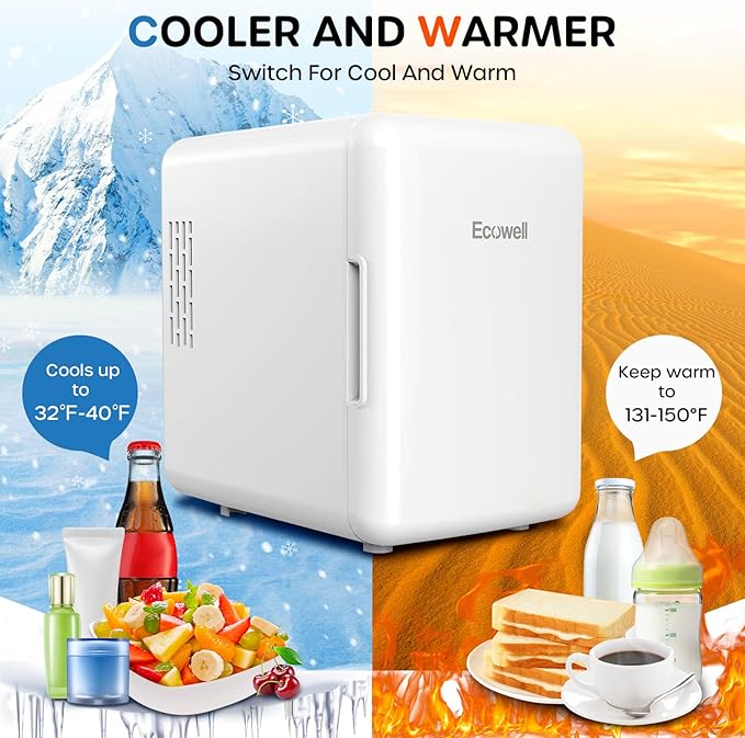Ecowell WRE100 Mini Bedroom, 4L/6 Can Skincare Fridge, AC/DC Portable Compact Small Refrigerator for Office Dorm Car Desk for Skin Care Makeup Cosmetic, White