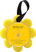 Spongellé Sweet Patchouli Wild Flower Bath Sponge | Built-in Body Wash & Body Scrubber, Shower Loofah Sponge for Women | 14+ uses