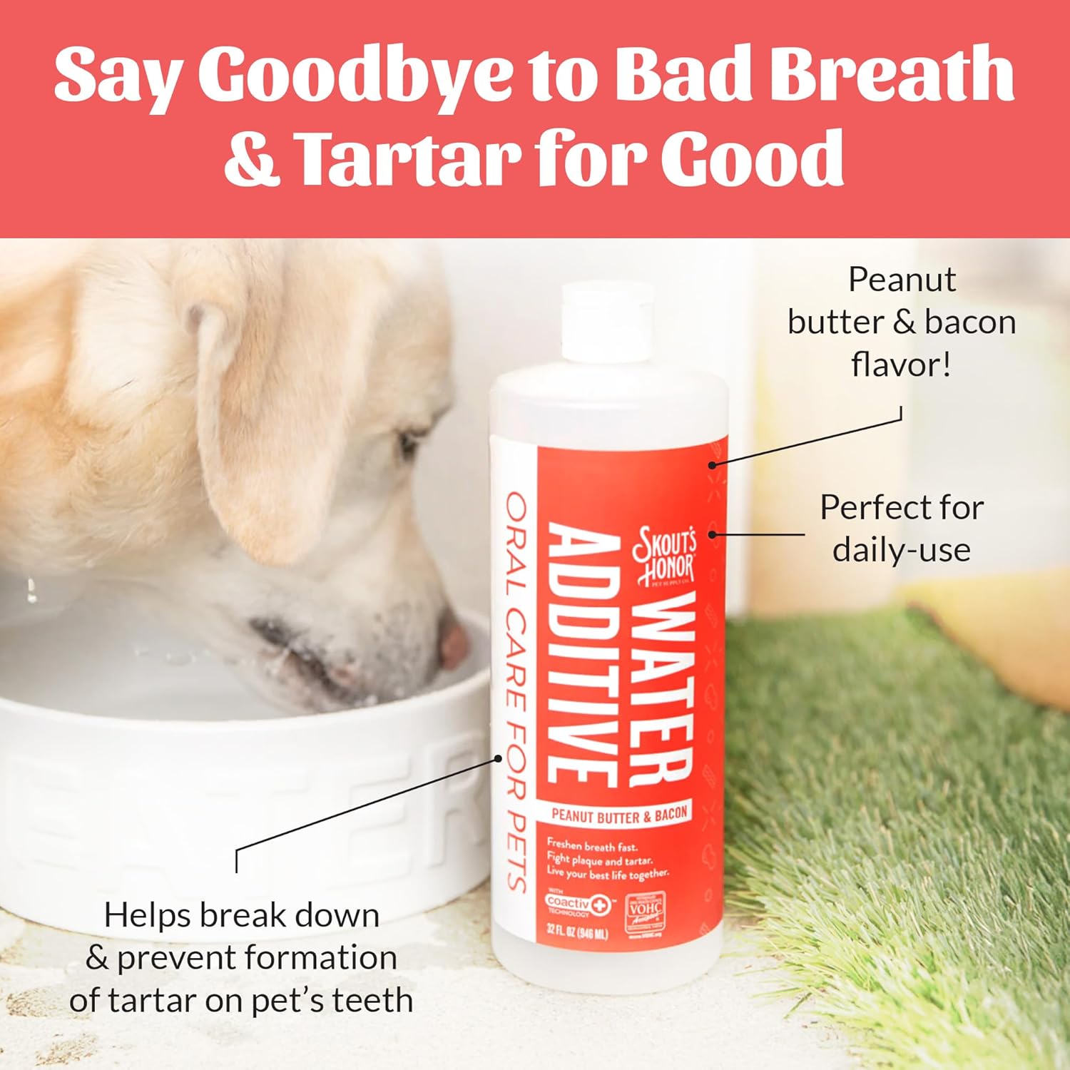 SKOUT'S HONOR Peanut Butter & Bacon Water Additive - VOHC Accepted for Tartar Control, Freshens Breath Fast, No Brushing Required, 32 oz, 2-Pack